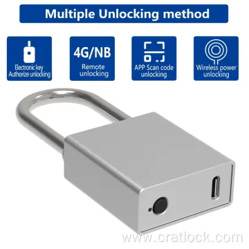 Electronic Intelligent Padlock for Box Transformer